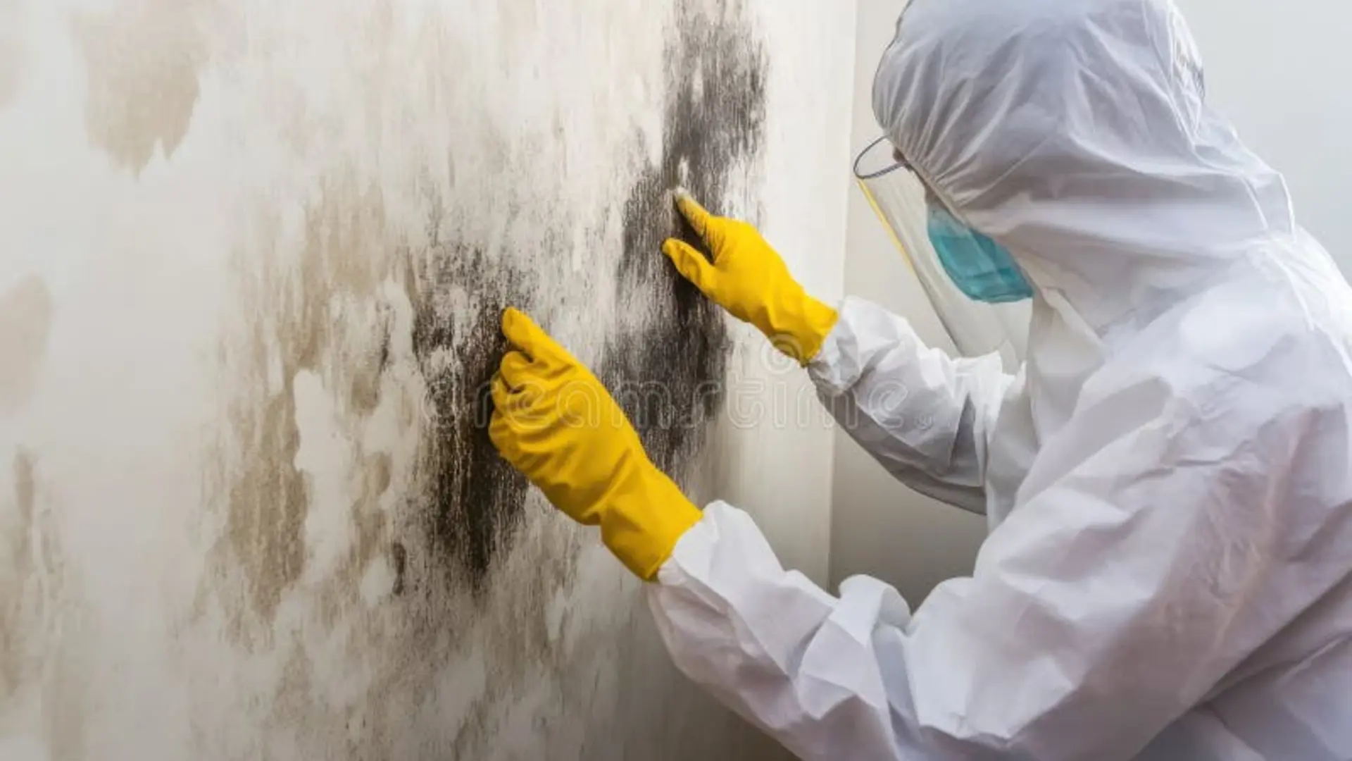 Mold Remediation